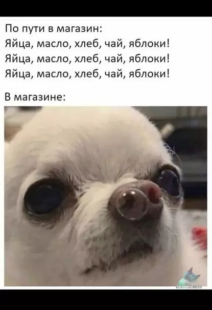 Смешная картинка №361360