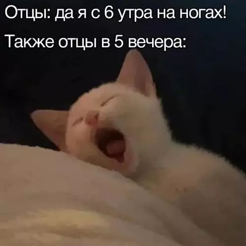 Смешная картинка №662055