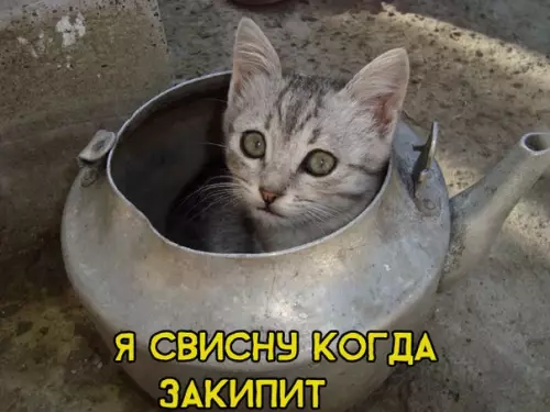 Смешная картинка №286824