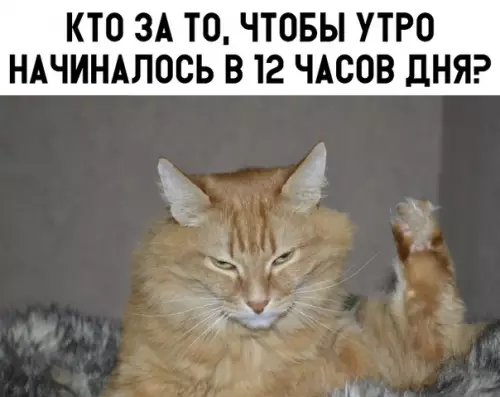 Смешная картинка №316595