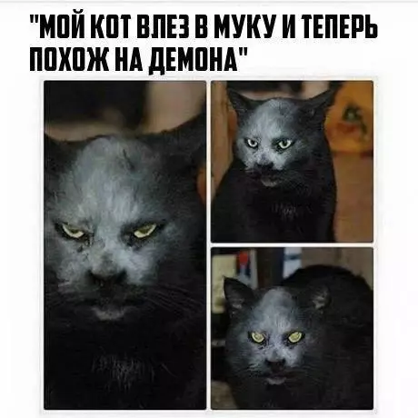 Смешная картинка №275480