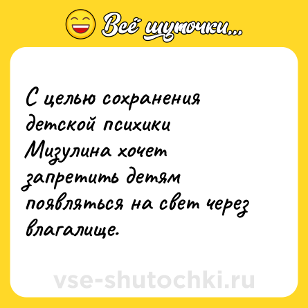 Шутка: С целью сохранения детской психики Мизулина хочет запретить детям появляться на свет через влагалище.