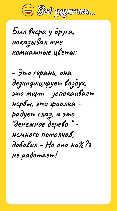 Был вчера у друга, показывал мне комнатные цветы:  