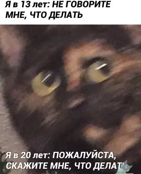 Смешная картинка №444833