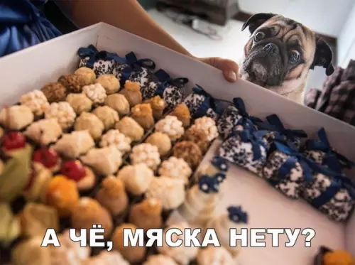 Смешная картинка №255073