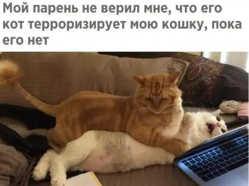 Смешная картинка №246518