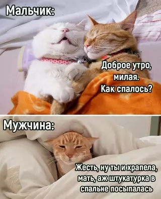 Смешная картинка №699641