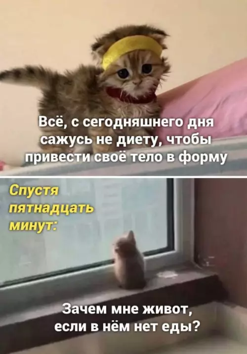 Смешная картинка №652919