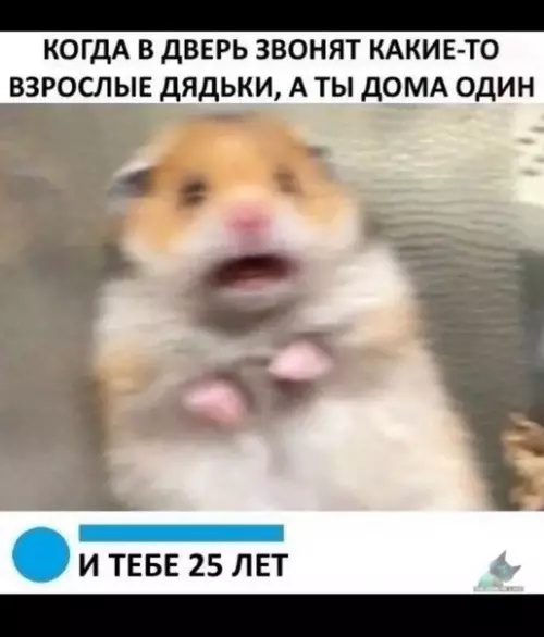 Смешная картинка №354598
