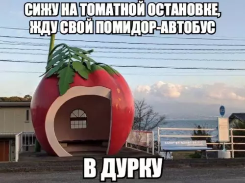 Смешная картинка №737123