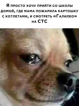 Смешная картинка №666429