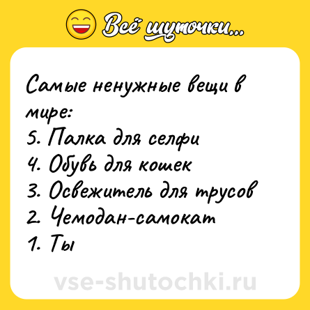 Шутка: Самые ненужные вещи в мире:<br>5. Палка для селфи<br>4. Обувь для кошек<br>3. Освежитель для трусов<br>2. Чемодан-самокат<br>1. Ты