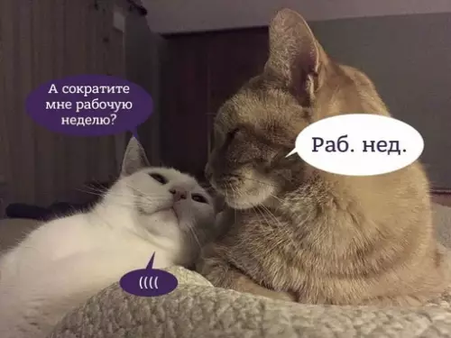 Смешная картинка №704932