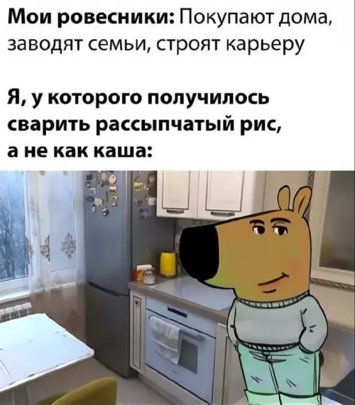 Уровень успеха: рассыпчатый рис 🍚✨ - Мои ровесники: Покупают дома, заводят семьи, строят карьеру Я, у