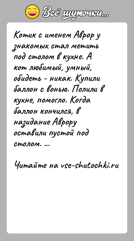 История: Котик с именем Аврор у знакомых стал метить под столом в кухне. А кот любимый, умный, обидеть - никак. Купили