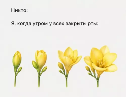 Моё состояние по утрам 🌼 - Никто: Я, когда утром у всех закрыты рты: