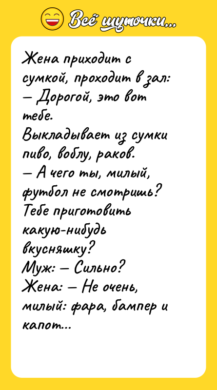 Жена приходит с сумкой, проходит в зал: Дорогой, это