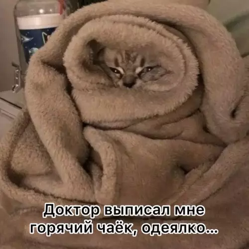 продолжение Смешная картинка №596617 Шикарная отмазка на этот месяц..)