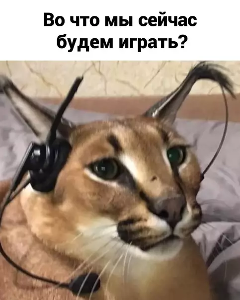 продолжение Смешная картинка №571671