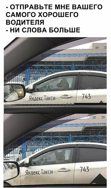 Смешная картинка №343529 Хороший мaльчик. собаки