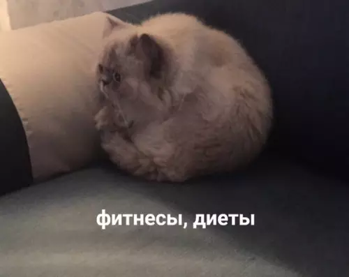 Смешная картинка №466711 ?