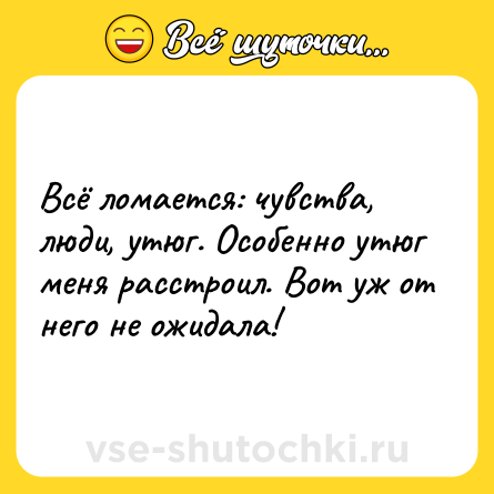 Шутка: Всё ломается: чувства, люди, утюг. Особенно утюг меня расстроил. Вот уж от него не ожидала!