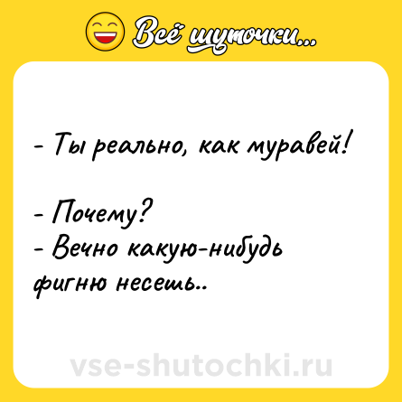 Шутка: - Ты реально, как муравей! <br>- Почему? <br>- Вечно какую-нибудь фигню несешь..
