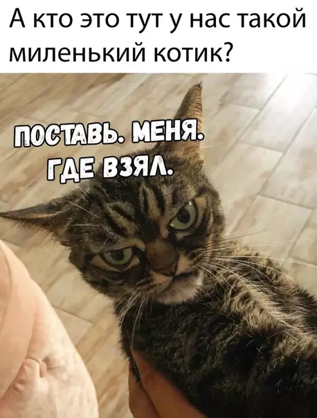 Смешная картинка №345155