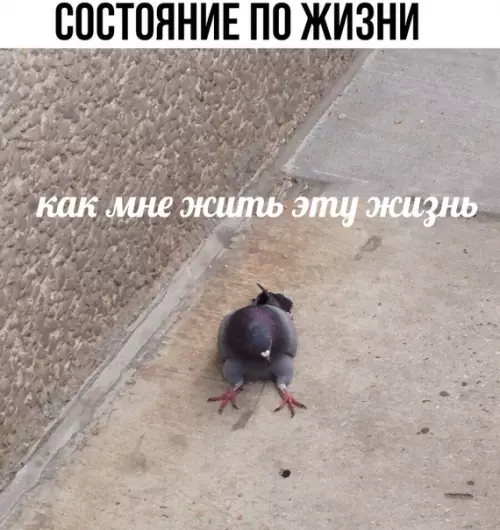 Смешная картинка №287929