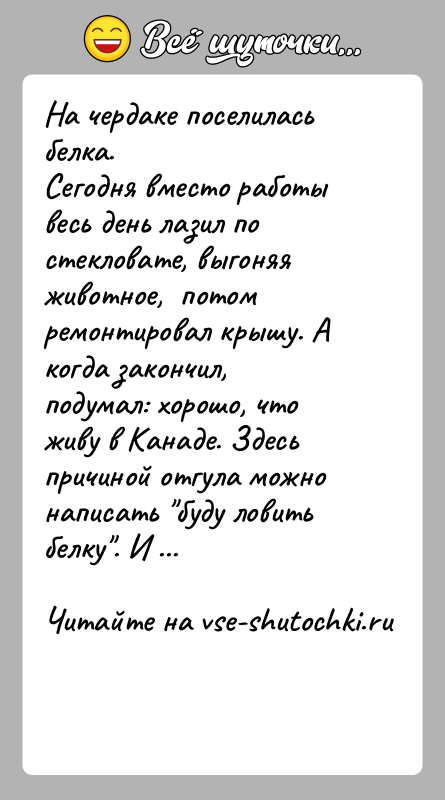 История: На чердаке поселилась белка. Сегодня вместо работы весь день лазил по стекловате, выгоняя животное, потом ремонтировал крышу. А