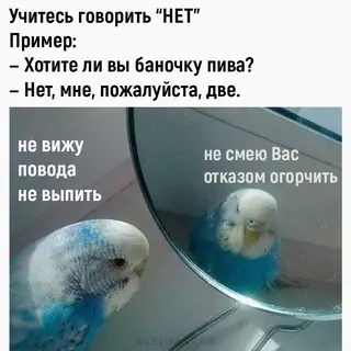 Смешная картинка №655514 Coвeт дня: