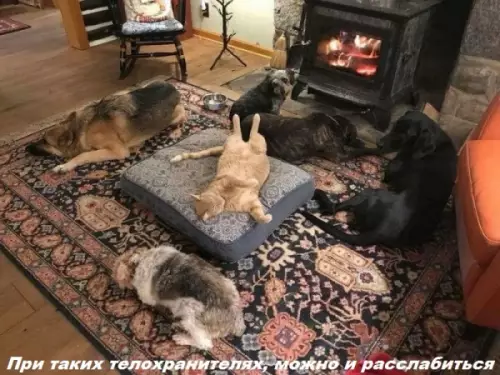 Смешная картинка №276036