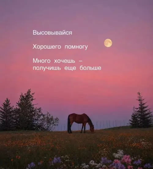 Ловушка для амбициозных 🐎✨ - Высовывайся Хорошего помогу Много хочешь получишь еще больше