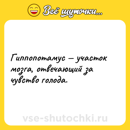 Шутка: Гиппопотамус — участок мозга, отвечающий за чувство голода.