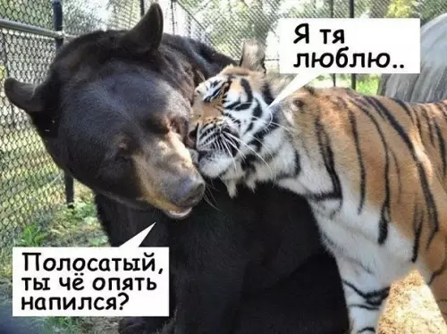 Смешная картинка №371744 .