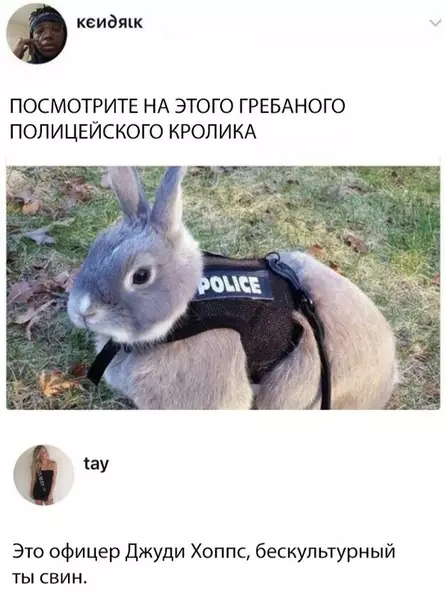 Смешная картинка №316646
