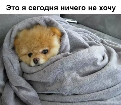 Смешная картинка №347368