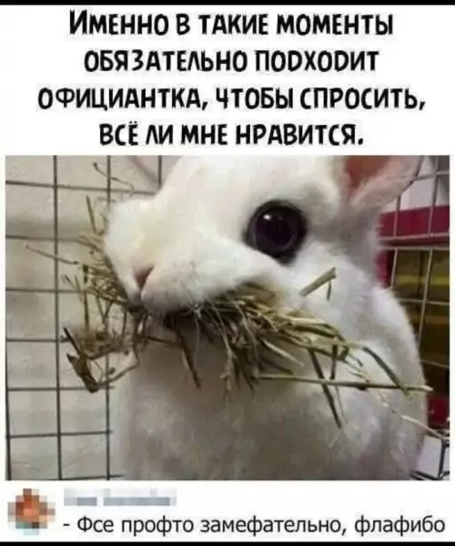 Смешная картинка №805118