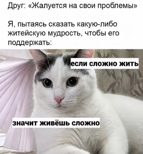 Когда пытаешься быть мудрым философом 🐱✨ - Друг: Жалуется на свои проблемы. Я, пытаясь сказать какую-либо житейскую