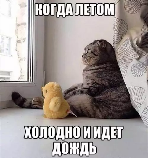 Смешная картинка №188563