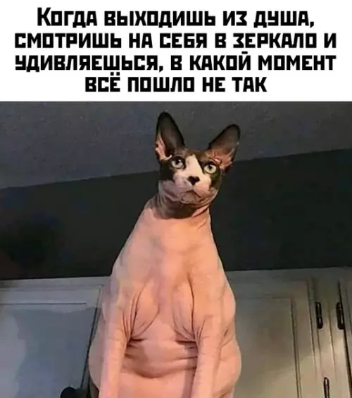 Смешная картинка №420661