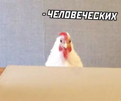 продолжение Смешная картинка №562888