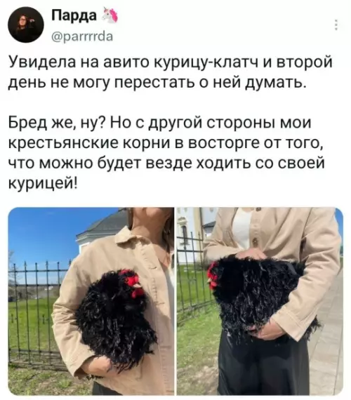 Смешная картинка №821145 магазины