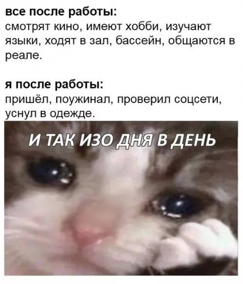 Смешная картинка №447797 Какая же жизненная жиза