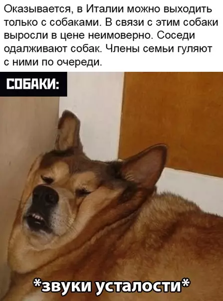 Смешная картинка №479775