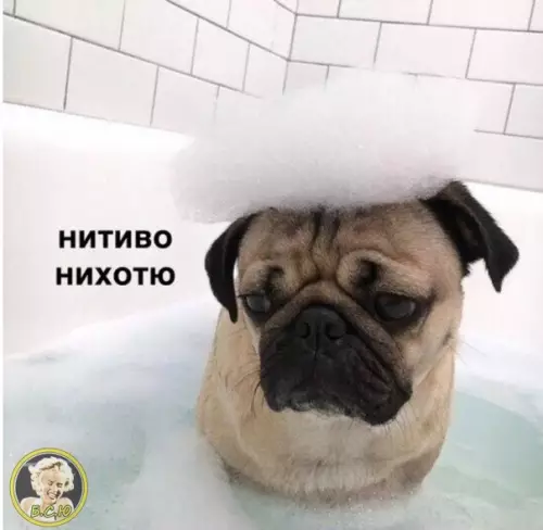 Смешная картинка №339495 Настроение с утра