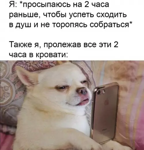 План захвата мира отменяется 💤 - Я: просыпаюсь на 2 часа раньше, чтобы успеть сходить в