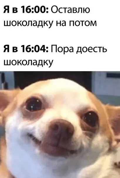 Смешная картинка №495279