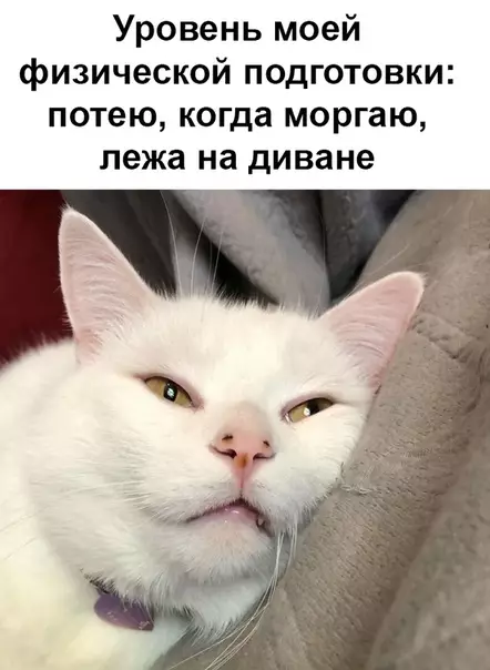 Смешная картинка №470701