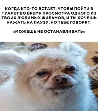 Смешная картинка №711165